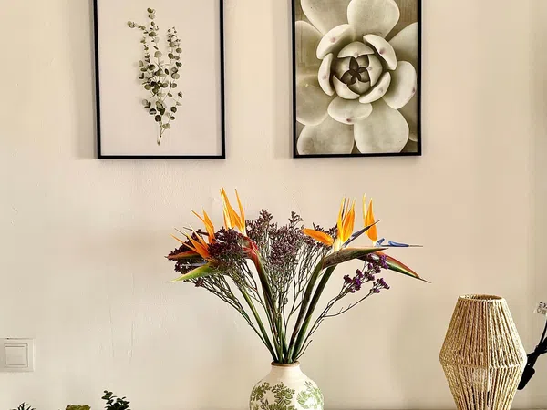 Estudio en avenida Melchor Luz, 1 - Foto 11