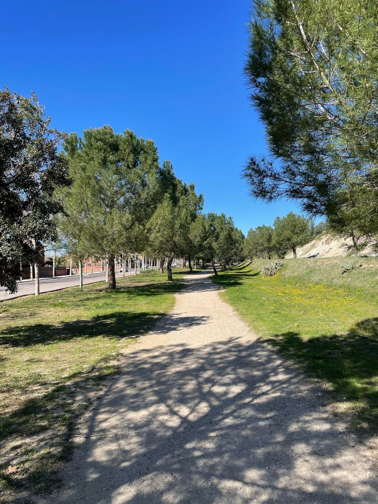 Chalet adosado en calle maria trulls i alguer, 2 - Foto 2