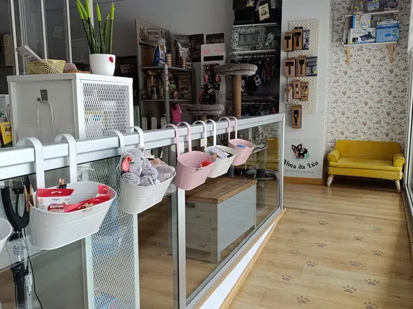 Local en Peluquería en Avenida Alcalde Gregorio Espino, 48, Casablanca - Calvario - Foto 2