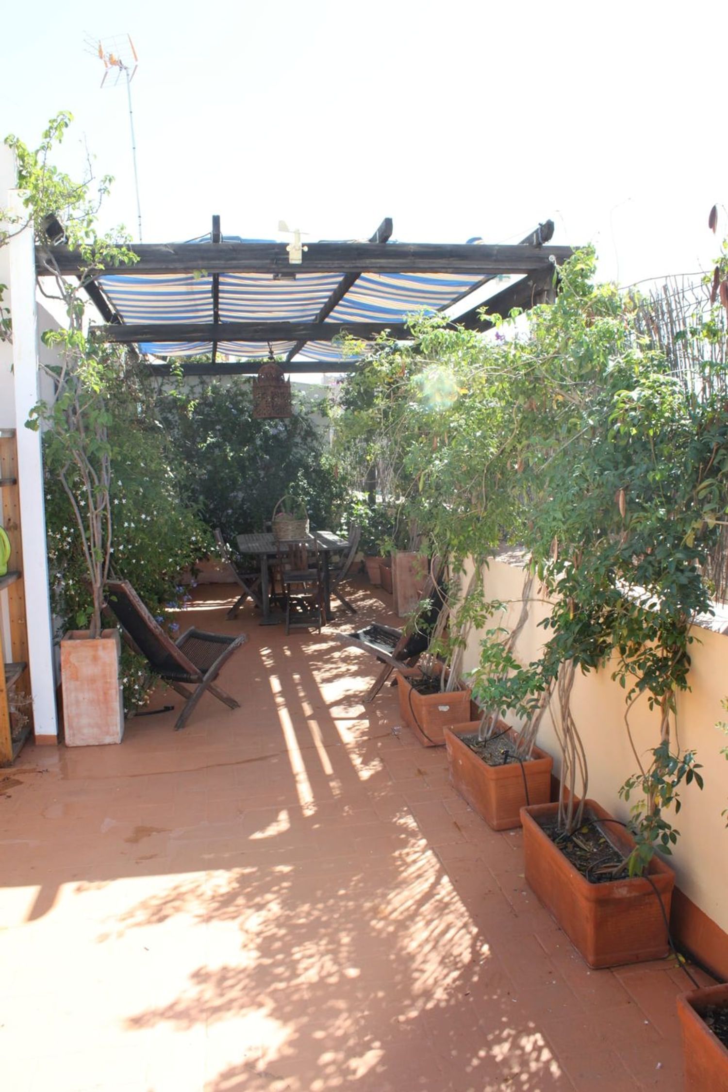 Ático en calle Virgen de la Cinta, 34 - Foto 3