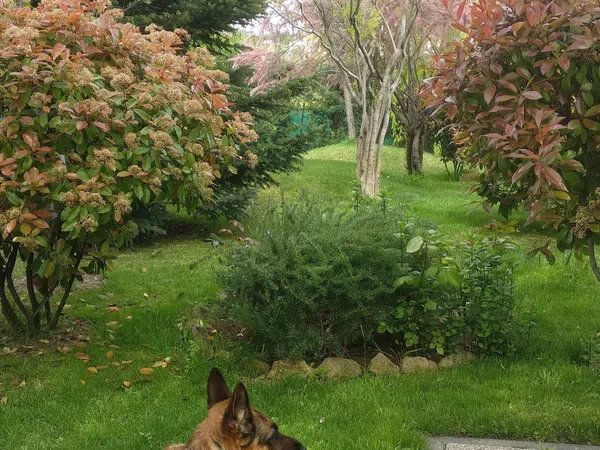 Casa independiente en Urb. campodón Barrio Campodón - Ventorro del Cano - Foto 22