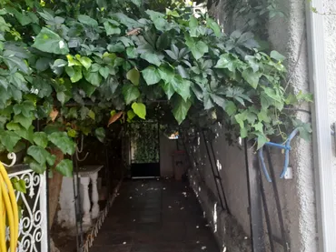 Chalet en  Callejón Callejuela 18 - Foto 2