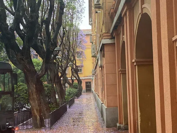 Piso en Vistabella, Vistabella - Foto 14