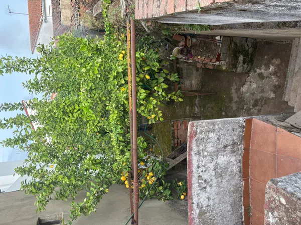 Casa de pueblo en Calle Olivilla, 8 - Foto 6