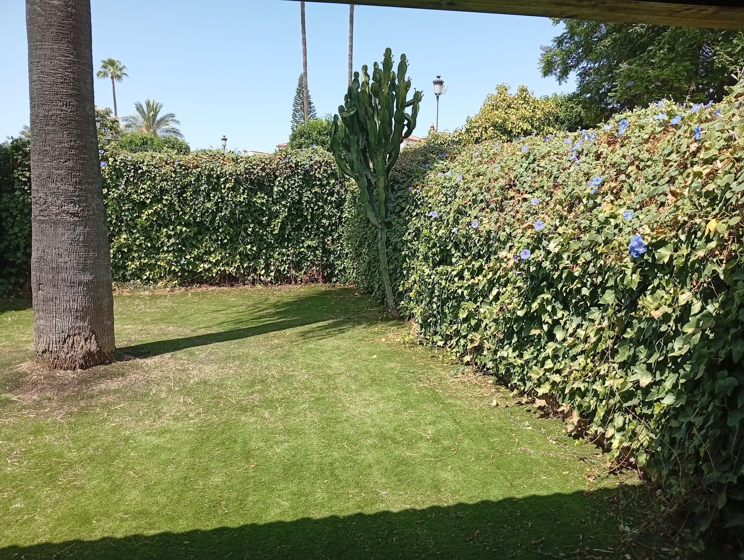Chalet adosado en Urbanización el Ariscal, 1 - Foto 33