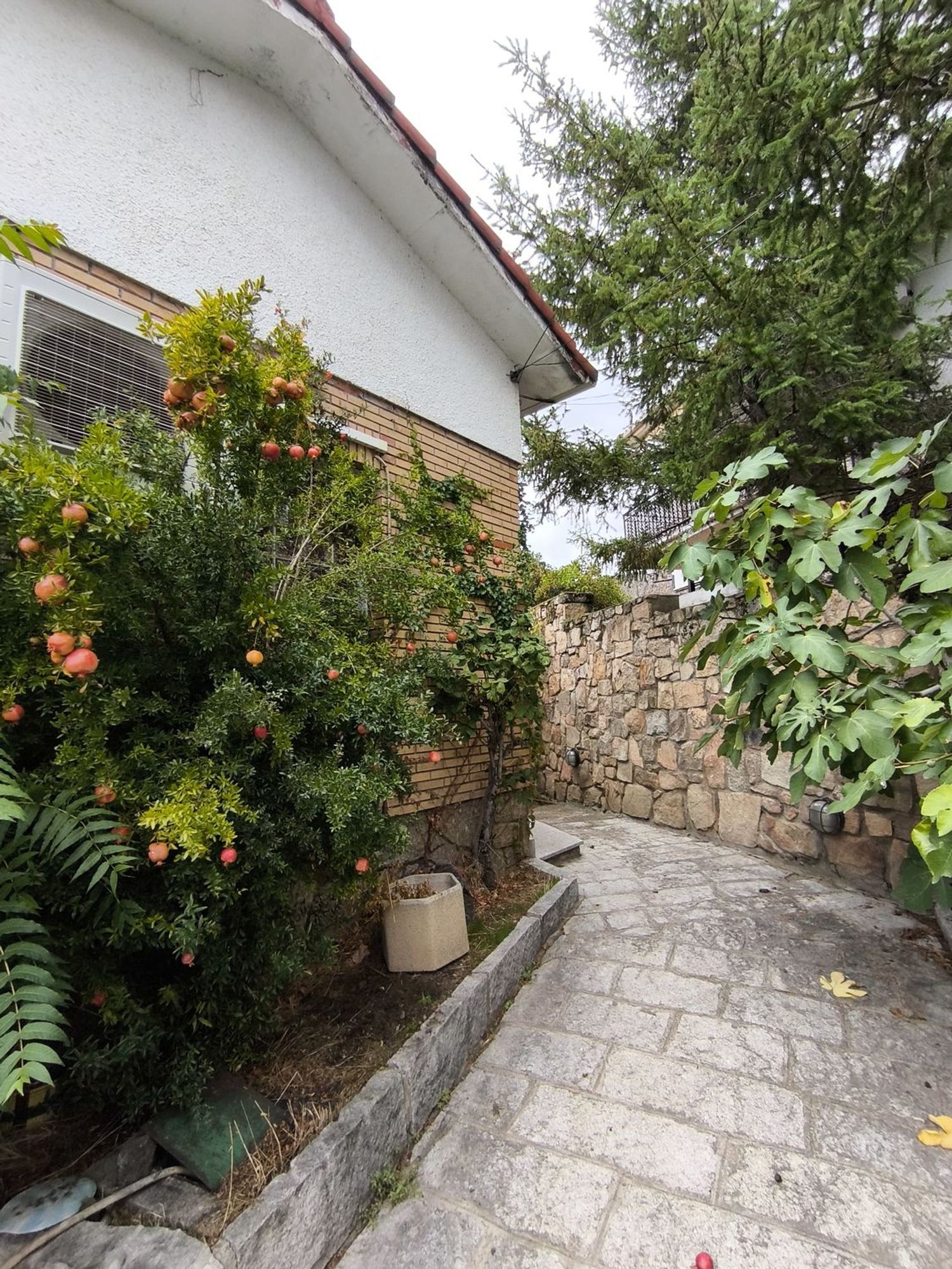 Casa o chalet independiente en Calle Pedro Salinas, 10 - Foto 25