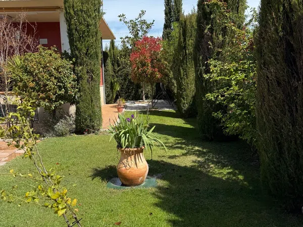 Casa o chalet independiente en Calle del Molino, 2 - Foto 36