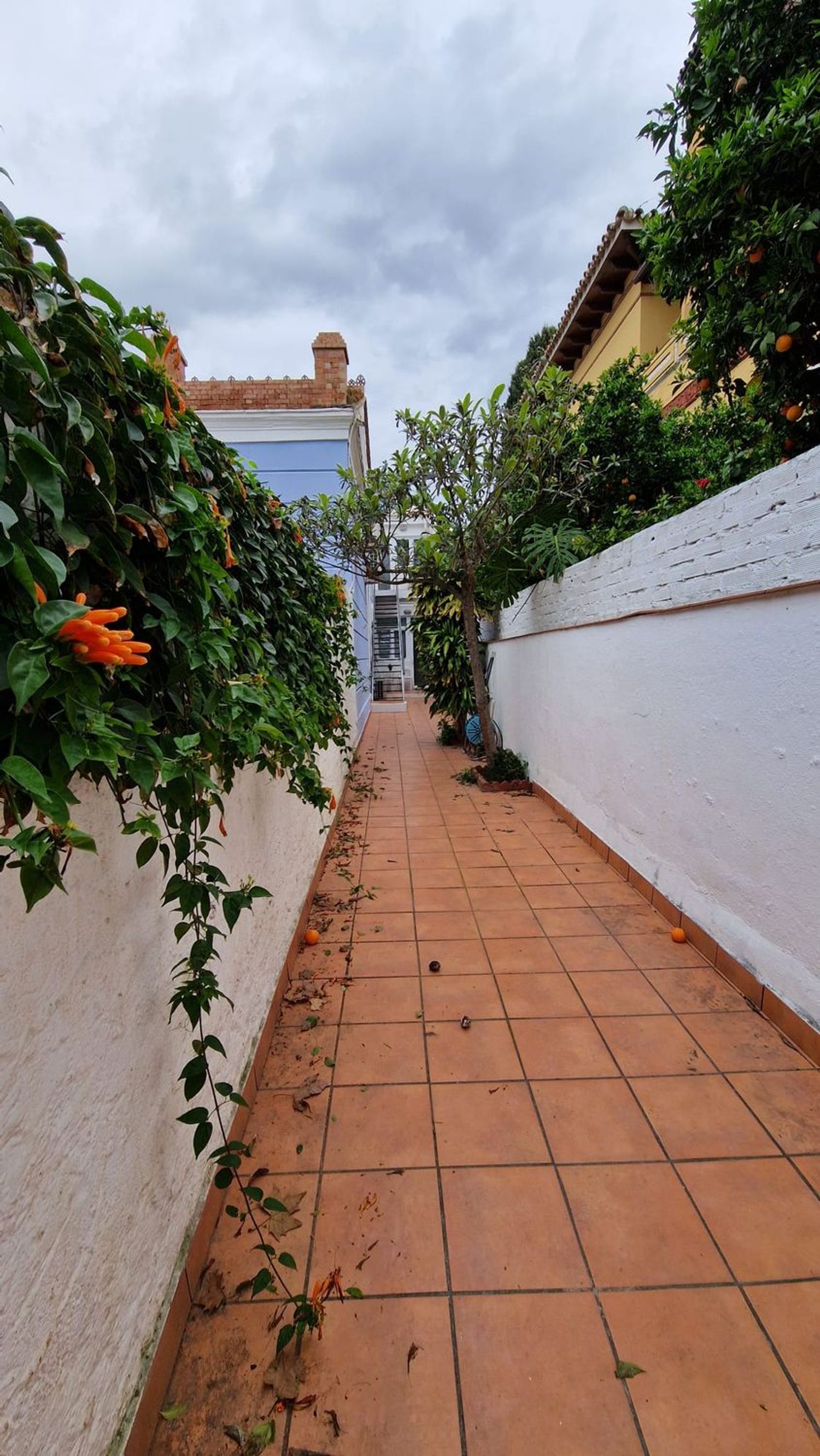 Piso en Avenida Juan Sebastián Elcano, 113, Pedregalejo - Morlaco - Foto 31