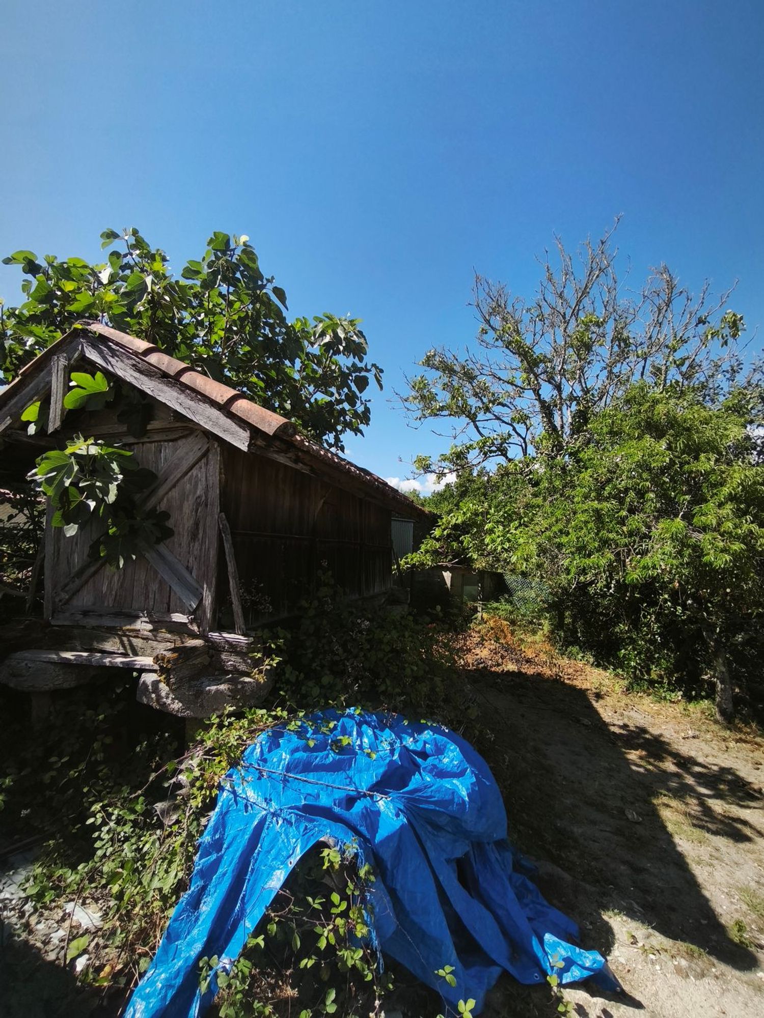 Casa de pueblo en Lugar Touciñas, 1 - Foto 24