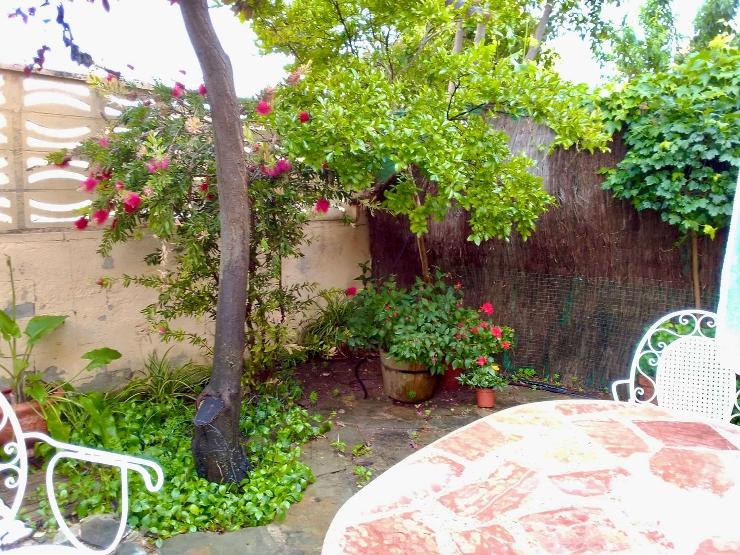 Chalet pareado en Calle del Tilo, 3 - Foto 21
