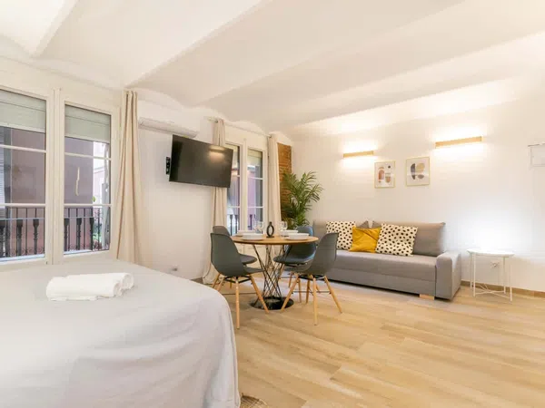 Estudio en Calle de les Carretes, 75, El Raval - Foto 7