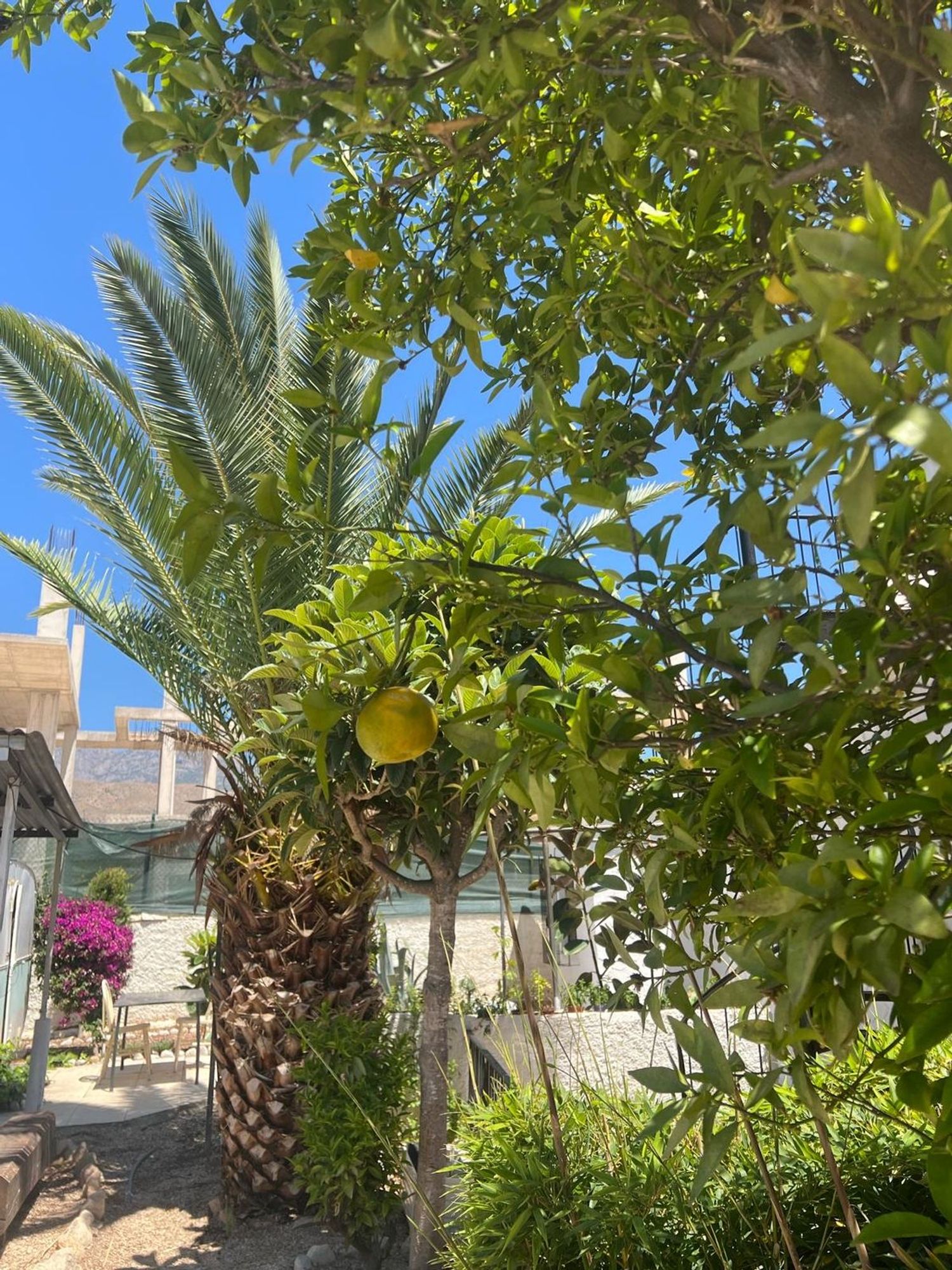 Casa o chalet independiente en Avenida Mimosas, 16, Cala de Finestrat, Cala de Finestrat - Foto 24