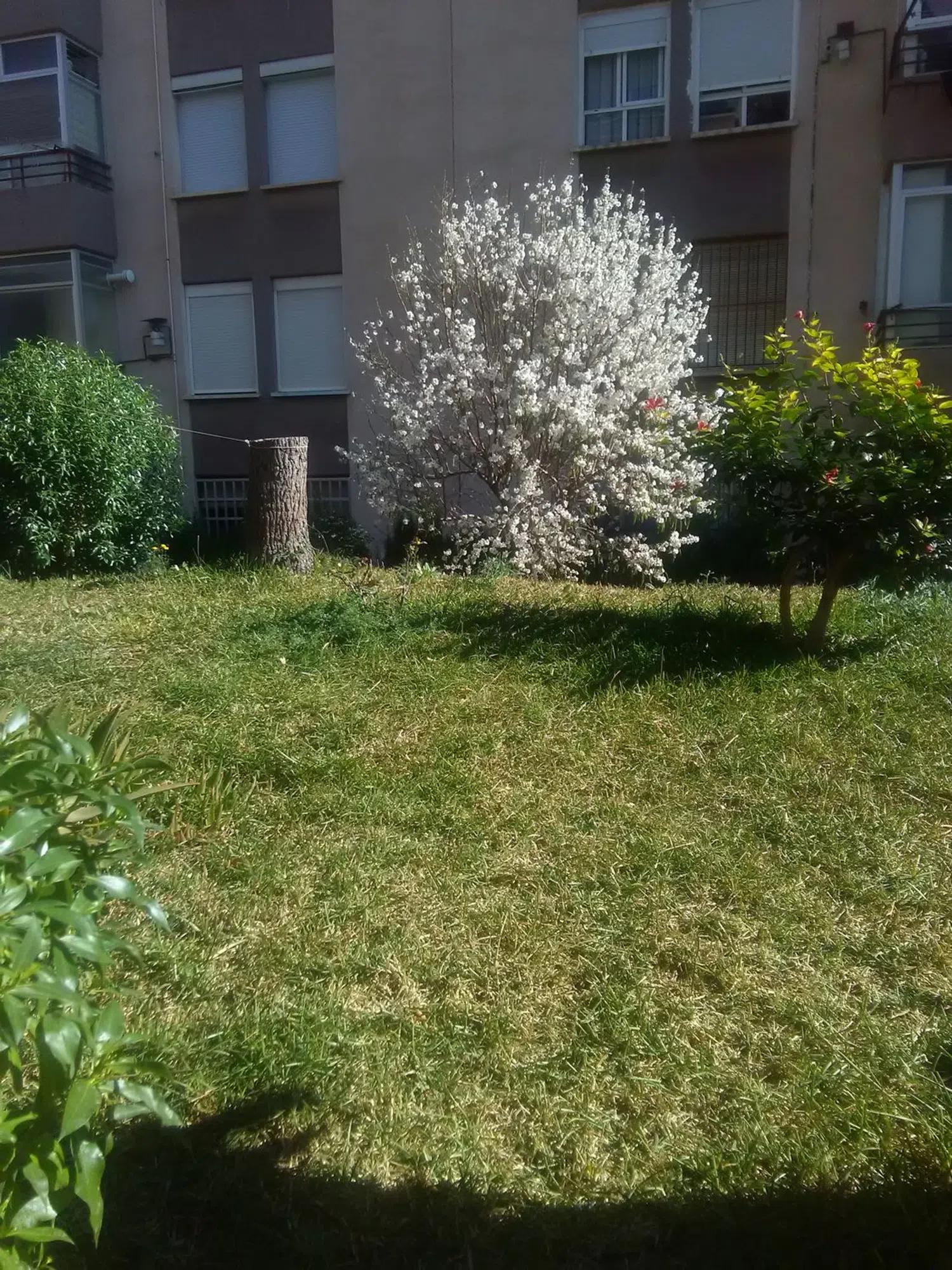 Piso en calle Benimantell, 16 - Foto 10