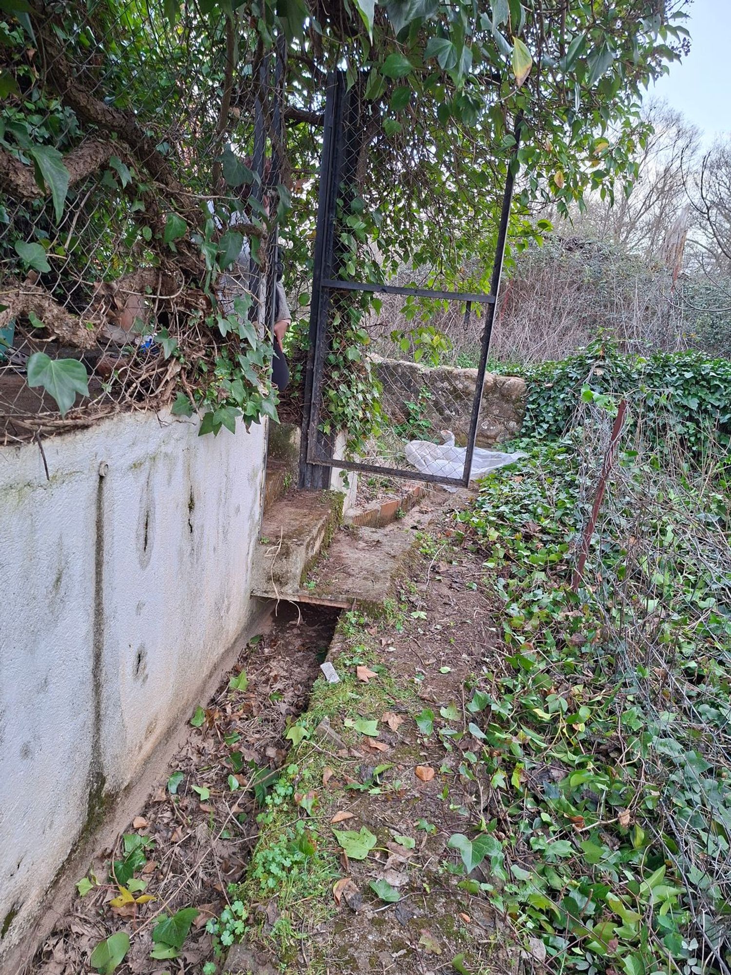 Casa rural en Calle Occidente s/n - Foto 5