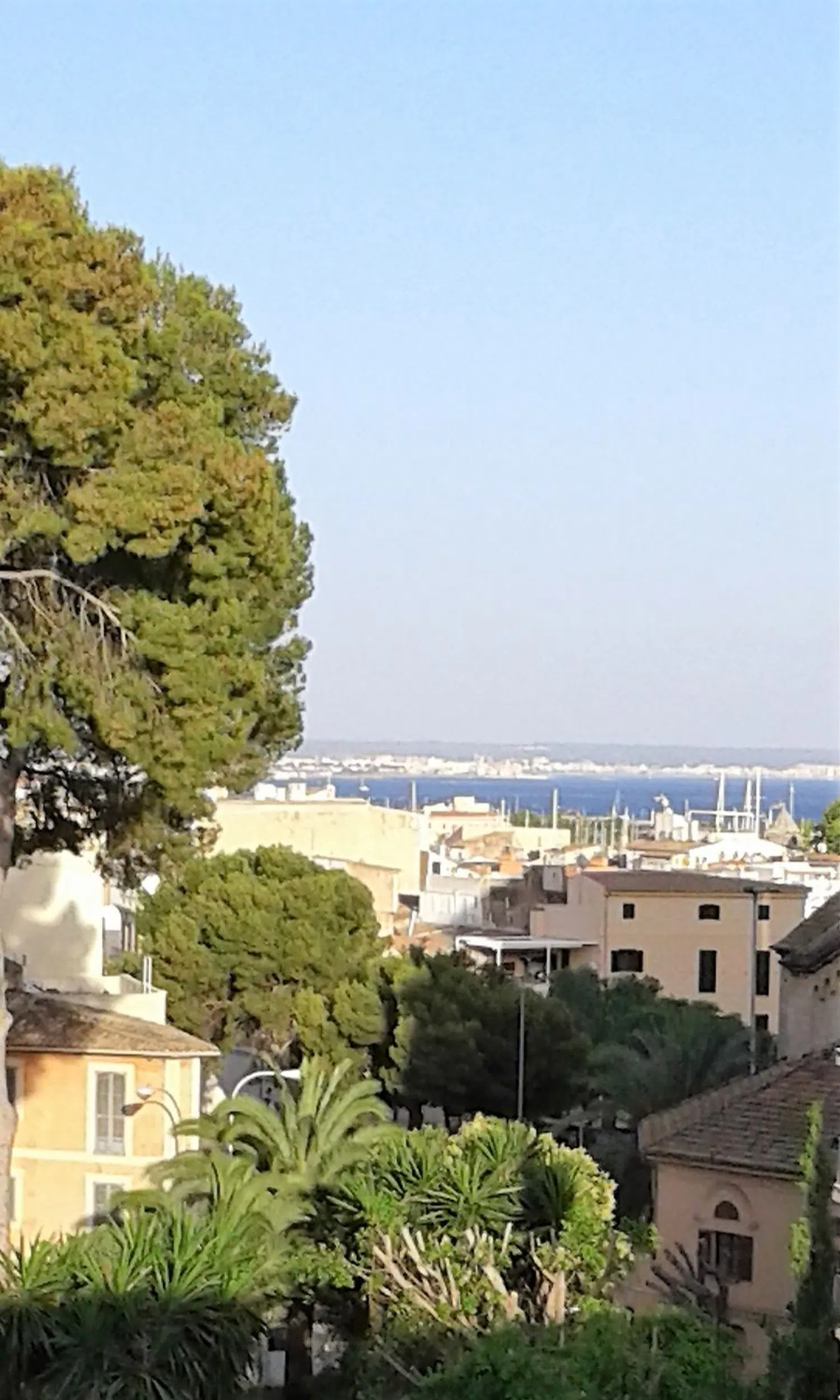 Ático en calle dels Sobreposats, 3 - Foto 1