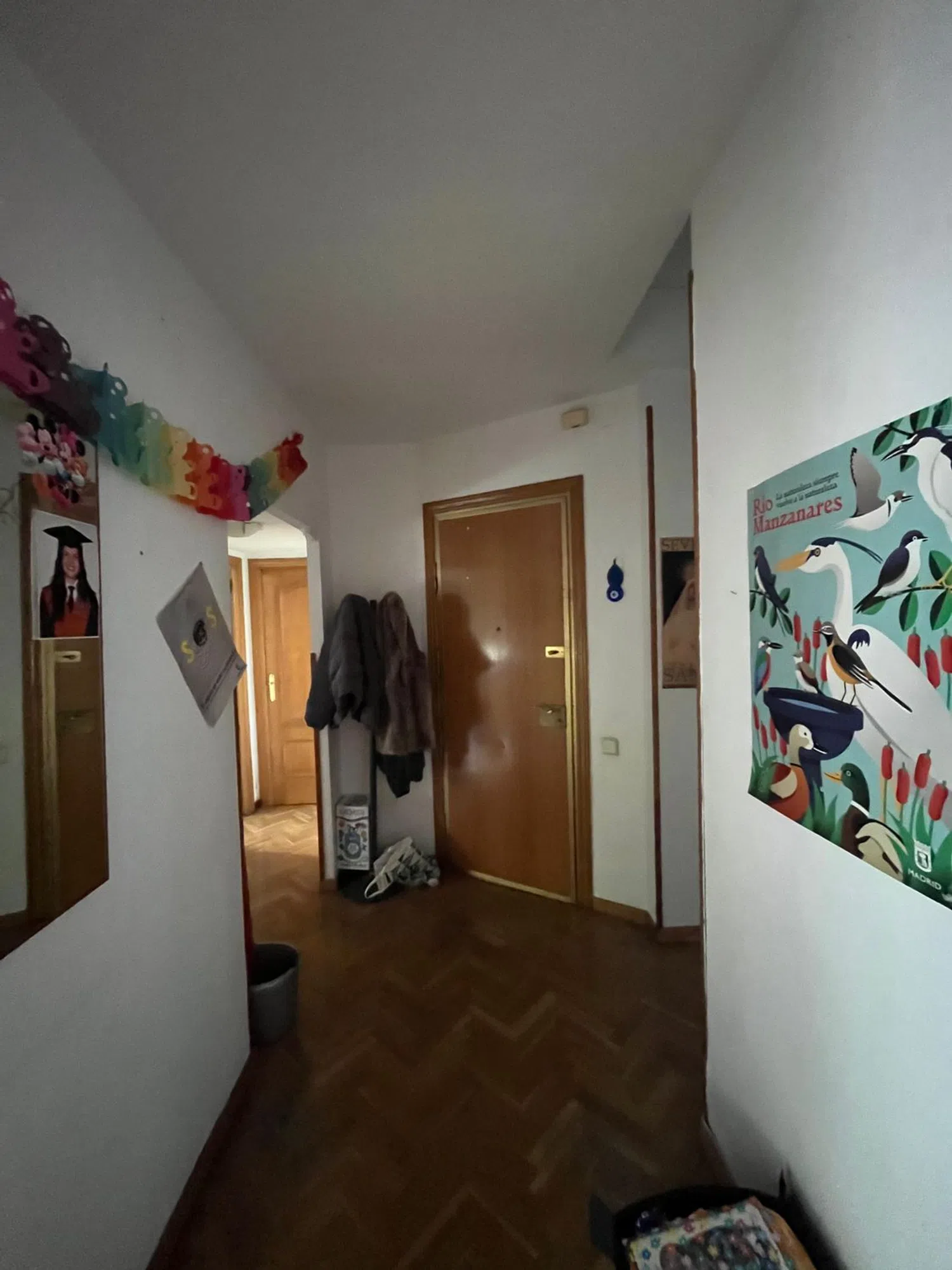 Piso - Foto 7