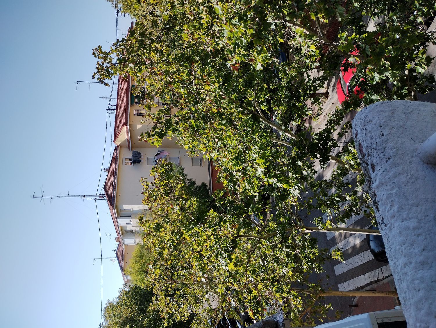 Piso en calle Oliana, 2 - Foto 9