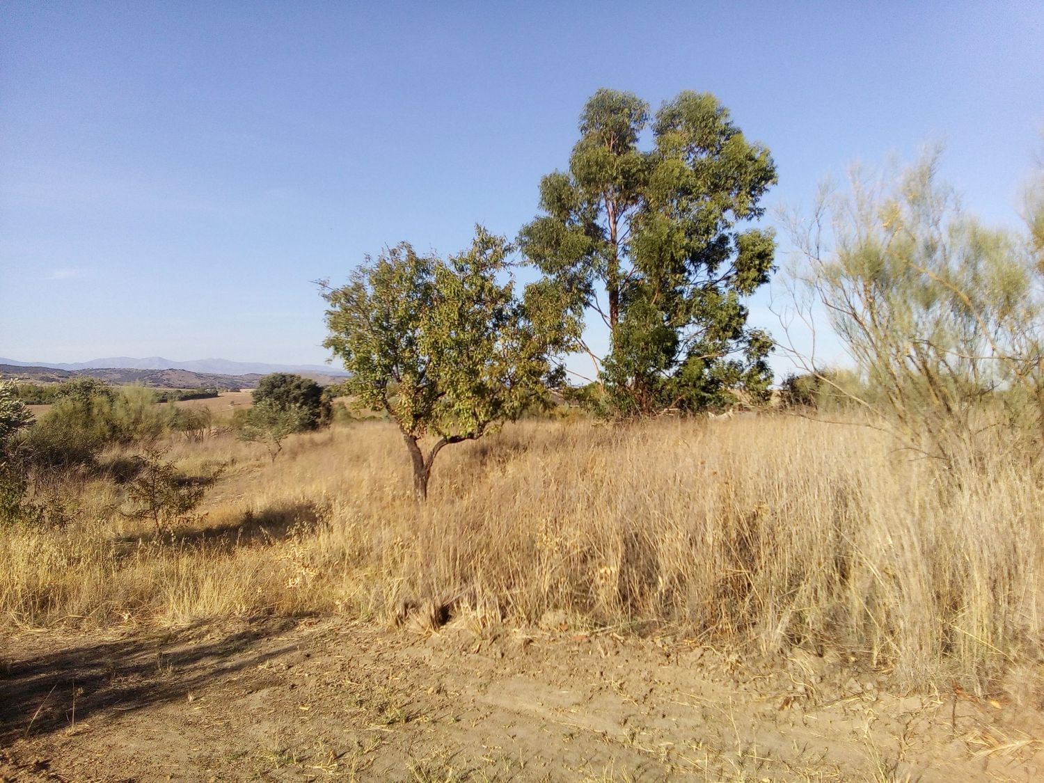 Finca rústica en camino de las laderas, 45 - Foto 16