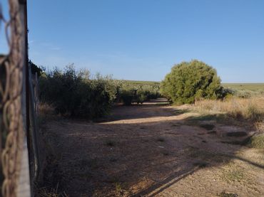 Finca rústica en  Calle Lairen 1 - Foto 1