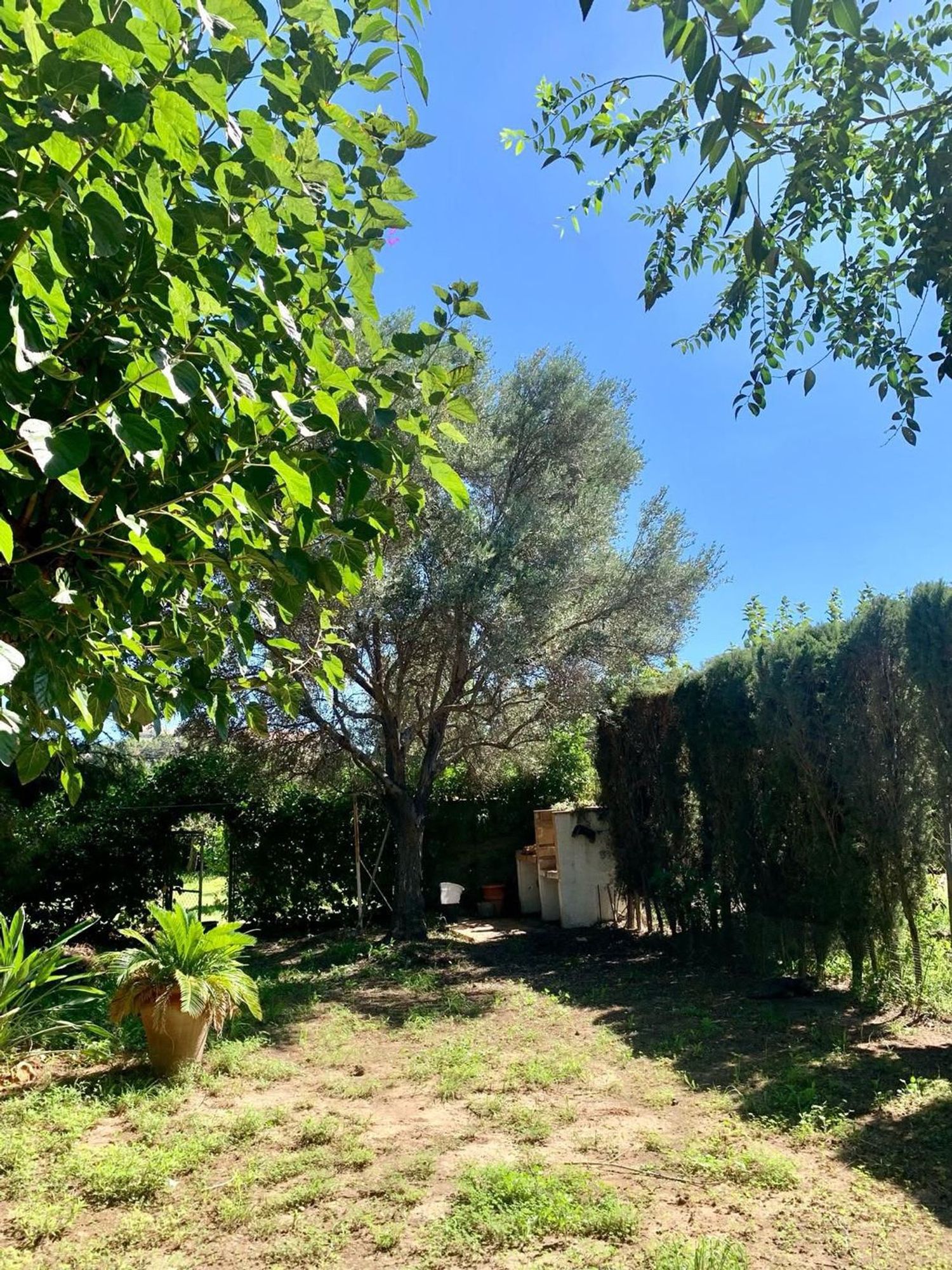 Chalet adosado en Calle l'Àguila, 12, Almajada-Ravel, Almajada-Ravel - Foto 3