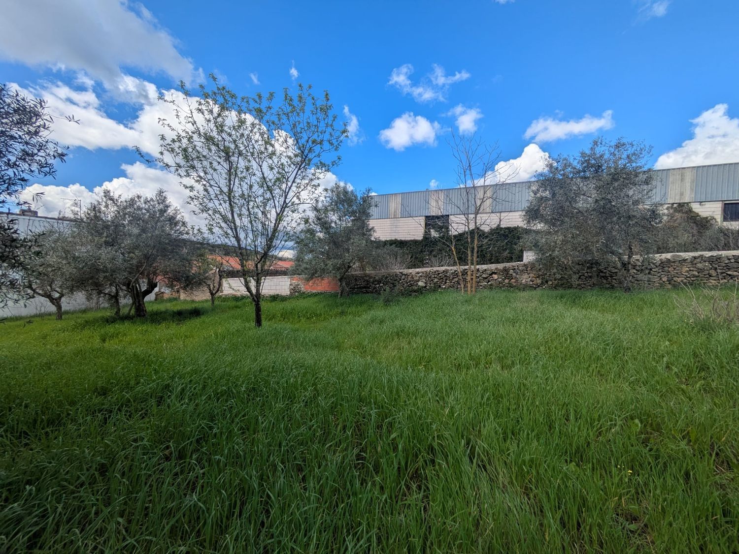 Casa de pueblo en Paseo de Extremadura, 32 - Foto 7