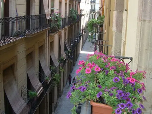 Piso en Calle Nou de Sant Francesc, 30, El Gòtic - Foto 22