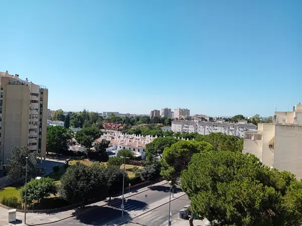 Piso en Avenida San Joaquín, 8, El Altillo - Foto 1