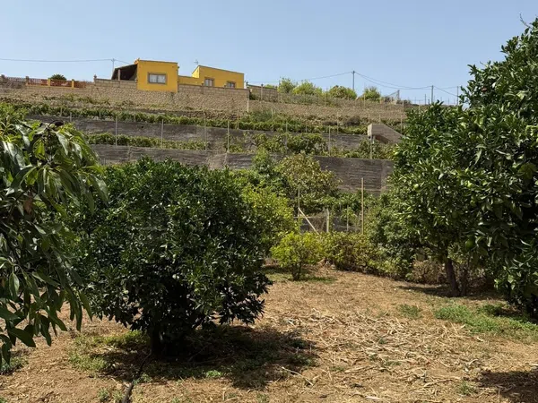 Finca rústica en Crta ortiz s/n - Foto 19
