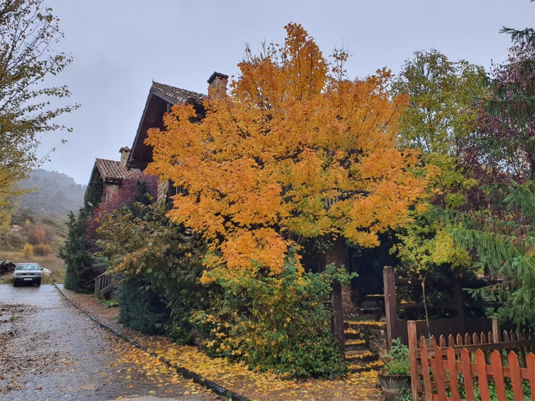 Finca rústica en - Foto 6