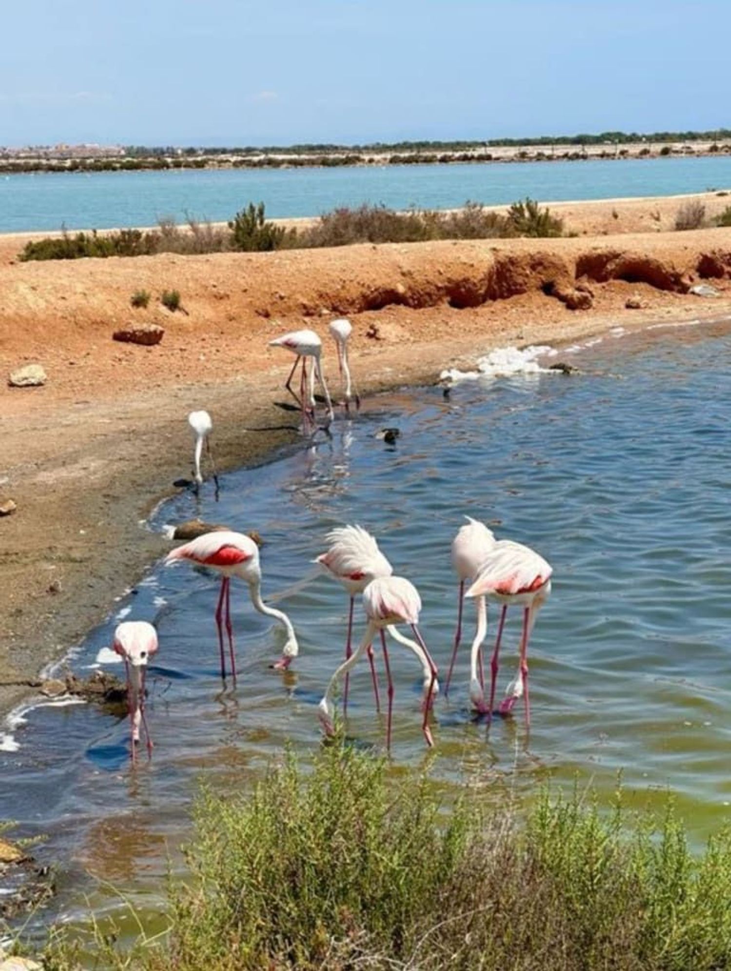Piso en Avenida Julietta Orbaiceta, 29, Playa Honda-Playa Paraíso - Foto 8