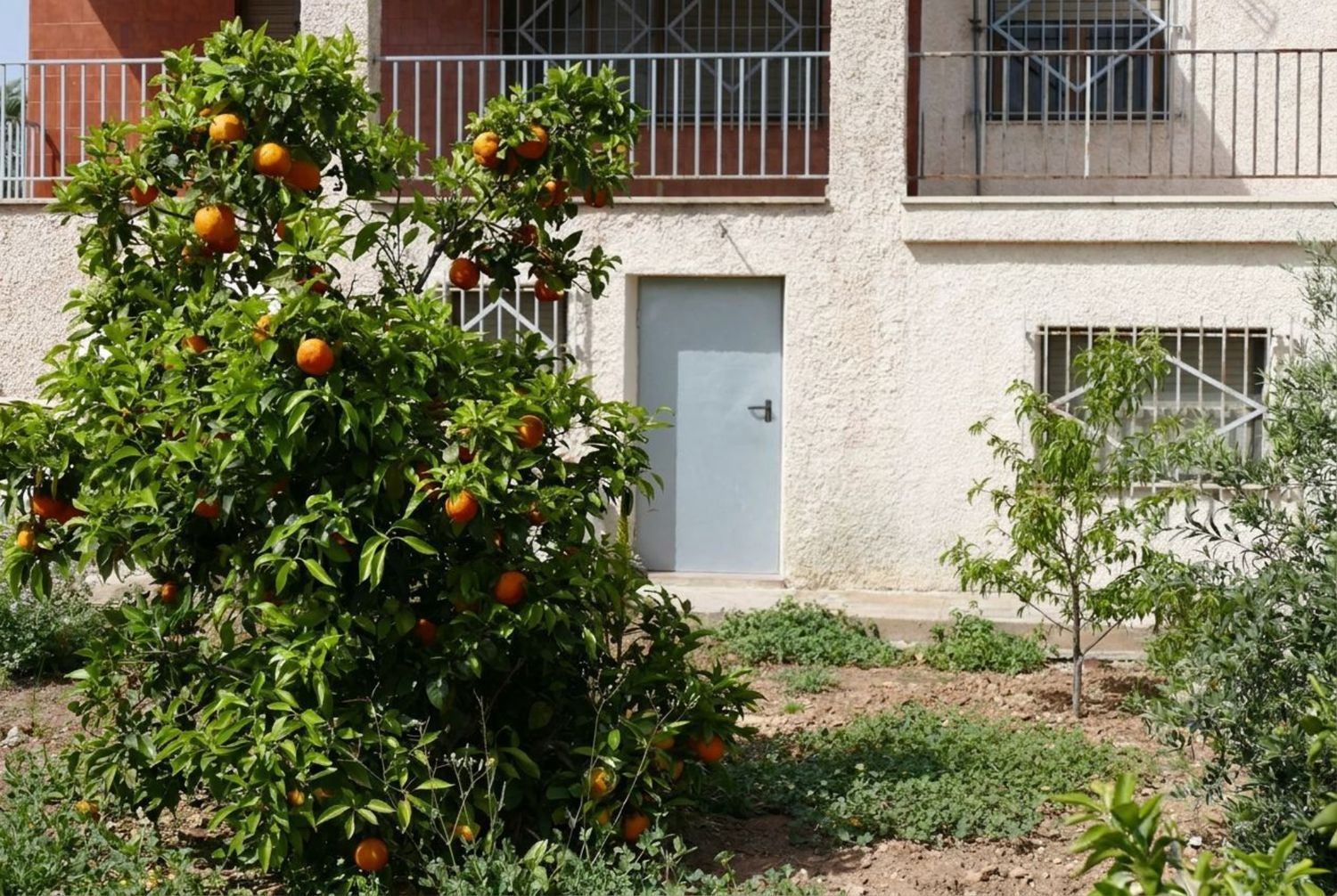Casa o chalet independiente en El Altet - Balsares, El Altet - Balsares - Foto 35