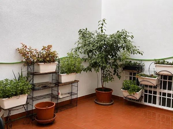 Piso en Calle Horno de Haza, 22, Jardín Botánico - Foto 9