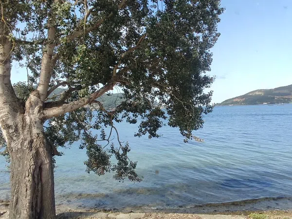 Casa independiente en paseo da Praia, 83 - Foto 24