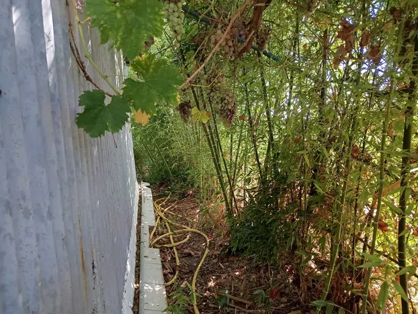 Cortijo en Cortijo en Partida Poligono 22, 220, Zona Llombai, Zona Llombai - Foto 16