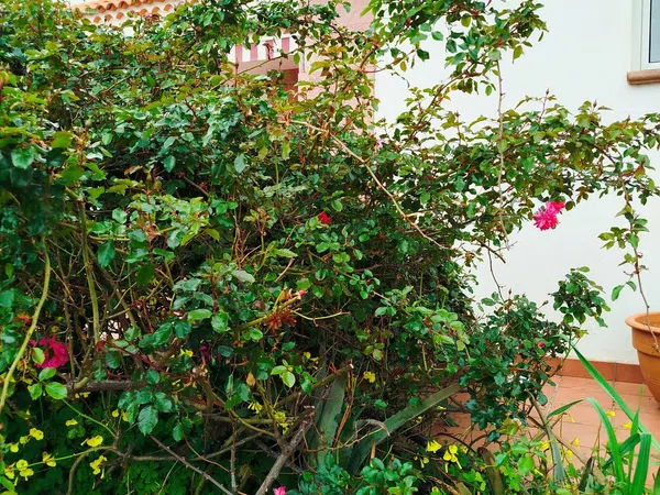 Casa independiente en Tf-274, 33 - Foto 1