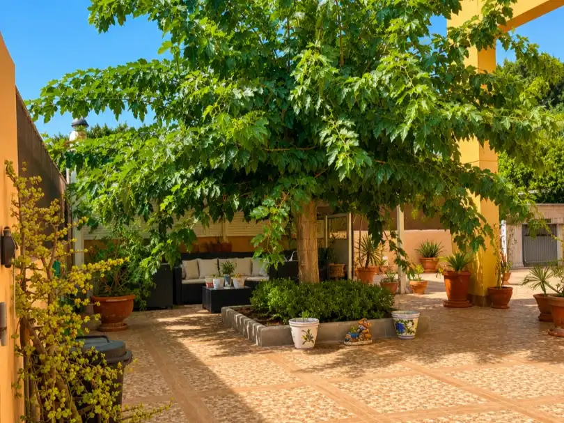 Chalet en  Calle Félix Martí Alpera 12 - Foto 40
