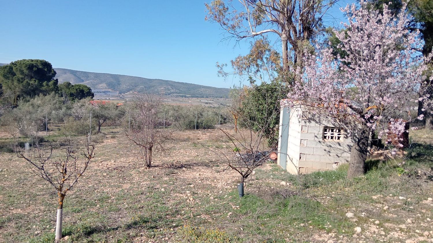 Finca rústica en Poligono 2, 121 Parcela - Foto 17