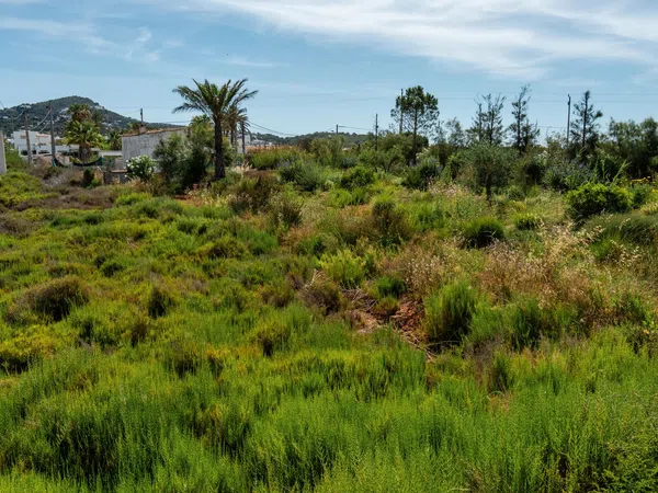 Casa rural en Camino ses Feixes, 46, Marina Botafoc - Talamanca, Marina Botafoc - Talamanca - Foto 30