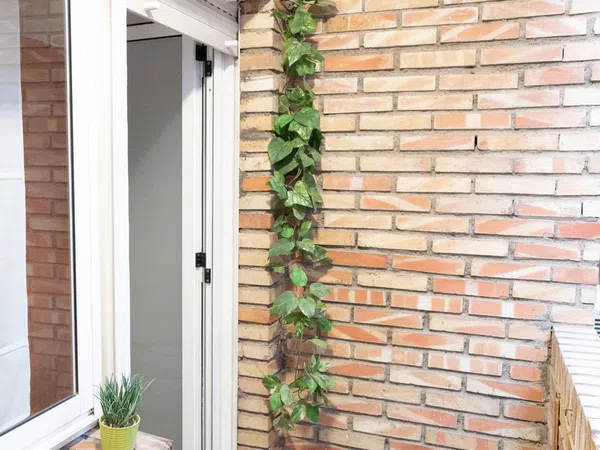 Piso en Calle Mariano Girada, 16, San Nicolás - Foto 12