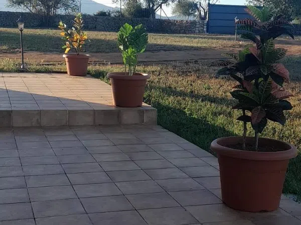 Finca rústica en Diseminado Diseminados Var, 311 - Foto 8