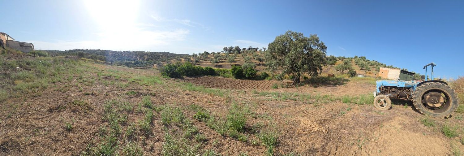 Cortijo en Cortijo en A-3001, 5 - Foto 11