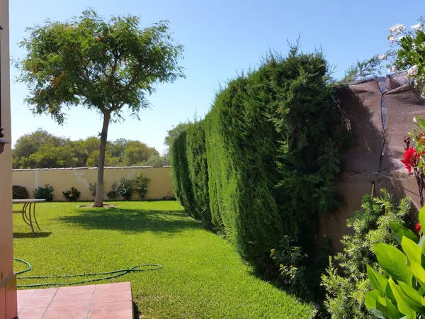 Casa independiente en calle Codorniz, 510 - Foto 5