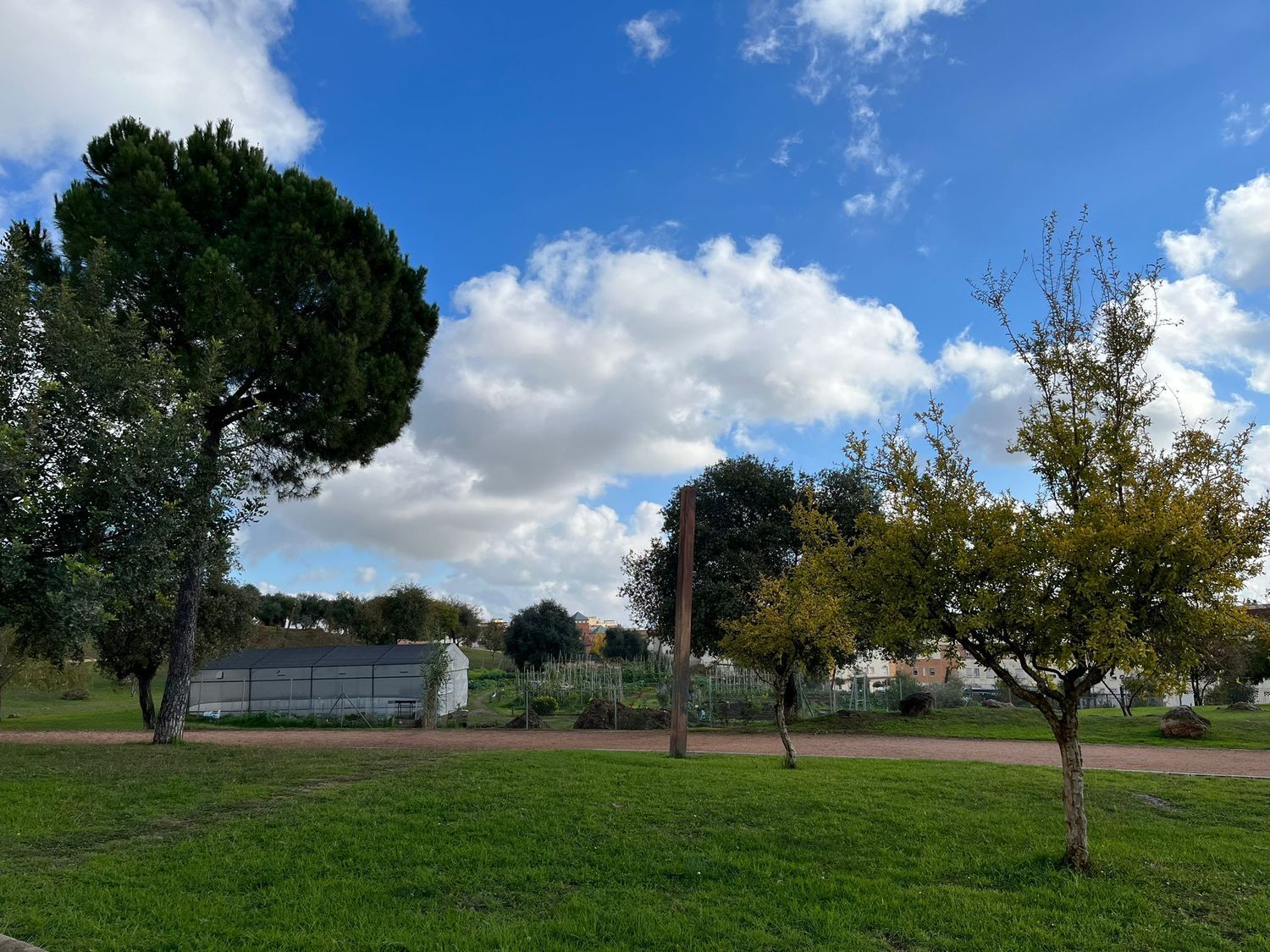 Ático en Avenida de los Almogávares, 46, Valdeolleros - Zumbacón - Camping, Córdoba - Foto 26
