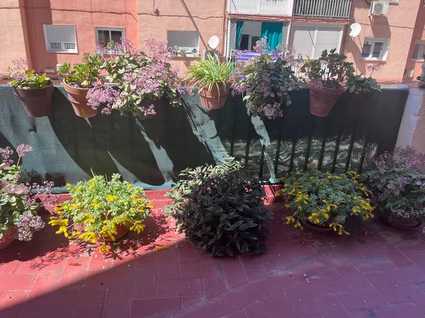 Piso en Zaidín - Foto 28