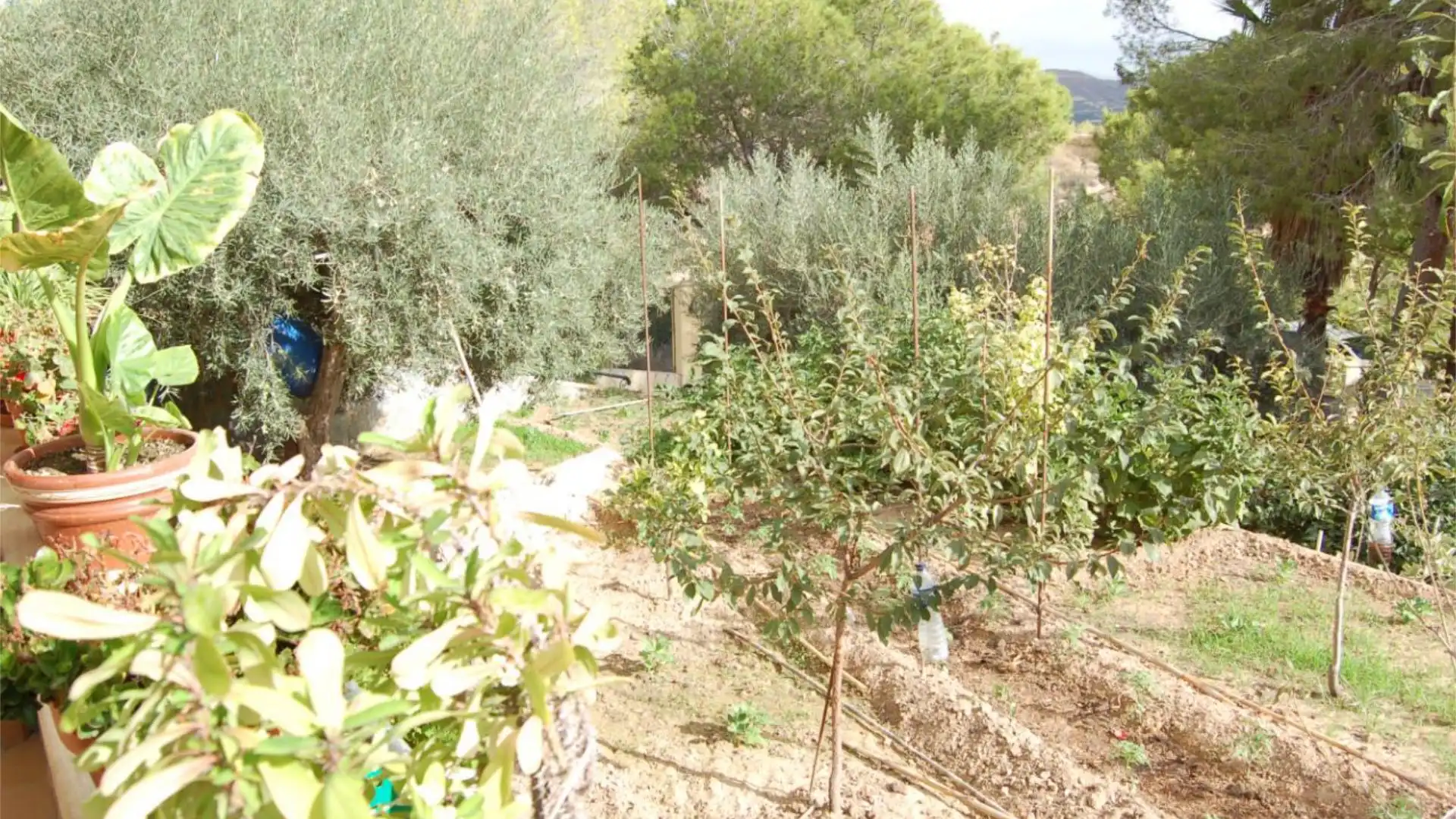 Chalet en  Urbanización la Pinada 37 - Foto 45