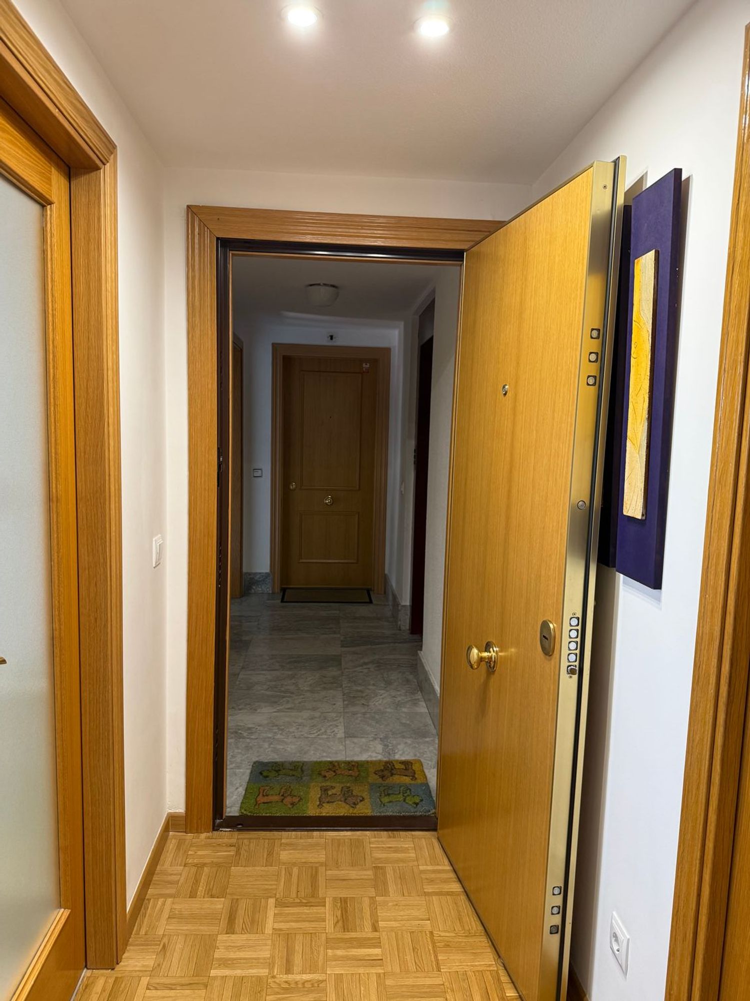 Piso en Calle Los Robles, 7, Prado de Santo Domingo - Foto 20