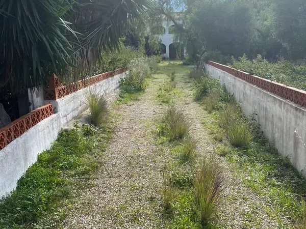 Finca rústica en Partida Molinete, 7, Centro, Centro - Foto 6