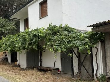 Finca rústica en  O Soldón 46 - Foto 2