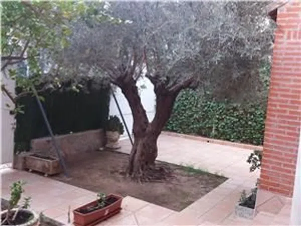 Chalet adosado en Calle Vicente Medina, 28, La Alberca - Foto 3