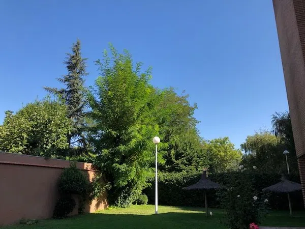 Piso en calle Arturo Soria, 45 - Foto 33